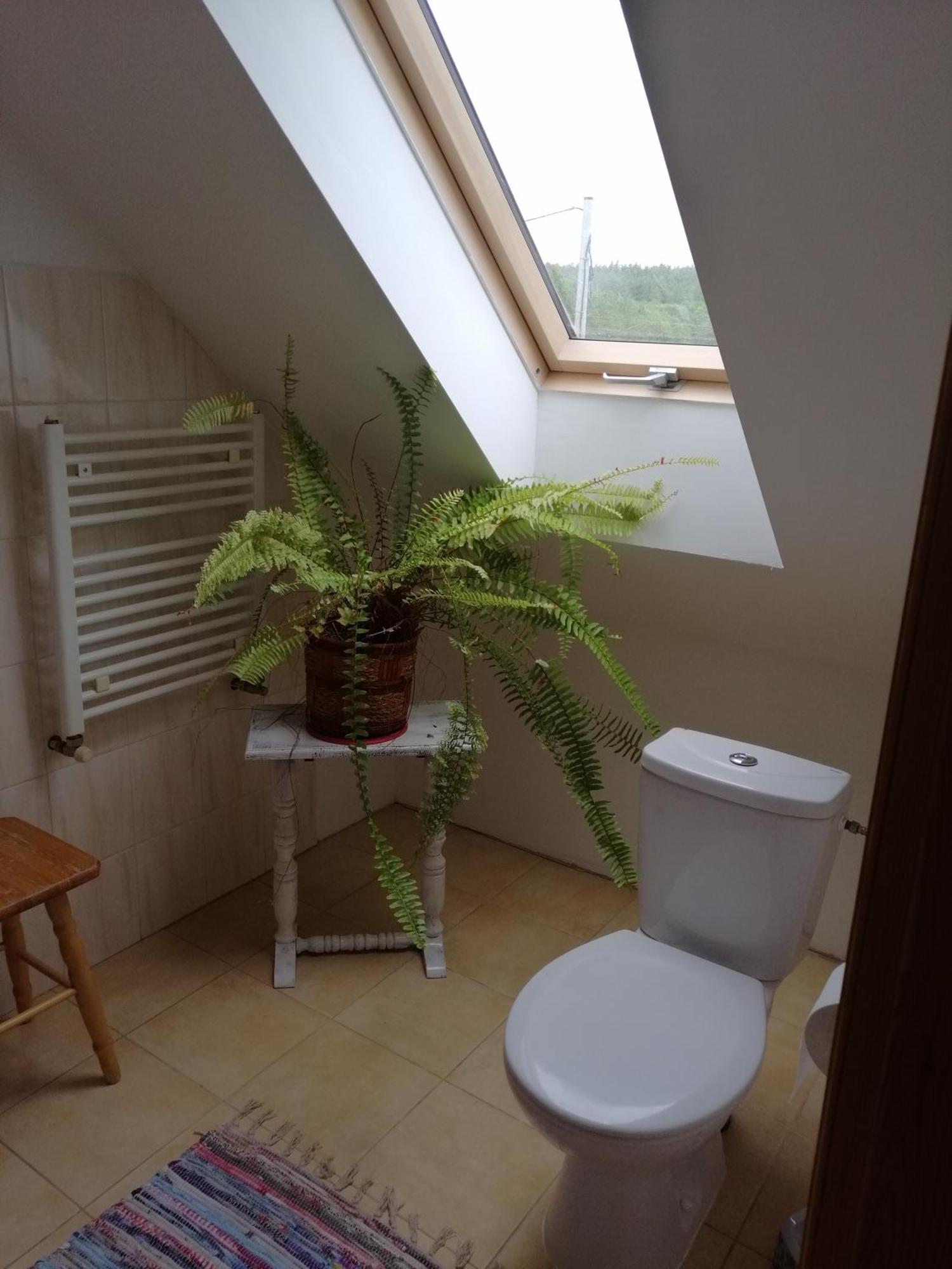 Agrojelonki Agroturystyka Gietrzwałd Chambre photo