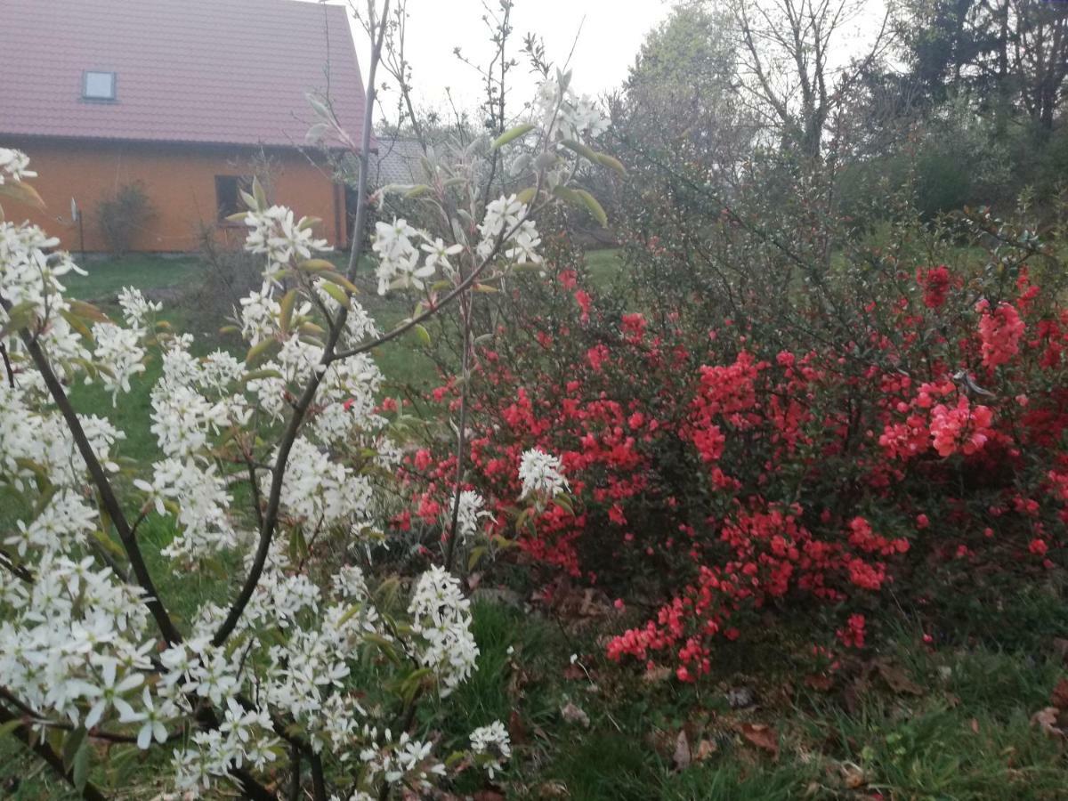 Agrojelonki Agroturystyka Gietrzwałd Extérieur photo